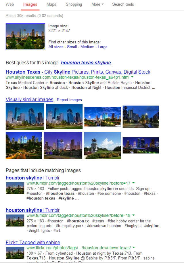 googlesearch1